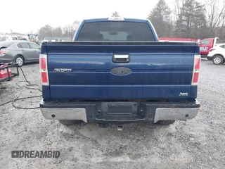 2010 Ford F-150 XL z VIN 1FTFW1EV2AFB75125, wystawiony jako IAAI lot #41835923 z przebiegiem 219 460 mil mil oraz . Historia ofert i sprzedaży dostępna na DreamBid. Obrazek 16.