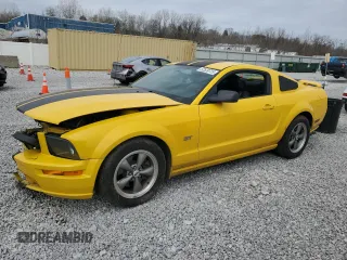2006 Ford Mustang GT Deluxe with VIN 1ZVHT82H765172787, listed as a Copart auction lot 52539725 with 161,409 mi miles and Salvage Title. Bid and sale history available at carsss.com. Image 1.