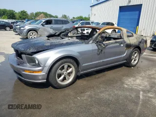 2006 Ford Mustang GT Deluxe with VIN 1ZVHT82H465236848, listed as a Copart auction lot 60662065 with Not provided miles and Salvage title. Bid and sale history available at DreamBid. Image 1.