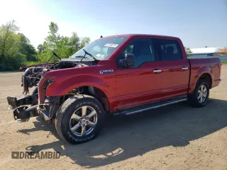 2019 Ford F-150 XL with VIN 1FTEW1EP1KFB78631, listed as a Copart auction lot 63745215 with 53,572 mi miles and Salvage title. Bid and sale history available at DreamBid. Image 1.