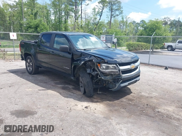2018 Chevrolet Colorado 4WD Work Truck z VIN 1GCGTBEN9J1206595, wystawiony jako IAAI lot #42150736 z przebiegiem 176 880 mil mil oraz . Historia ofert i sprzedaży dostępna na DreamBid. Obrazek 1.