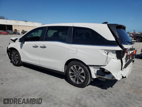 2024 Honda Odyssey EX-L with VIN 5FNRL6H66RB069509, listed as a Copart auction lot 47198505 with 3,341 mi miles and Salvage Title. Bid and sale history available at DreamBid. Image 2.