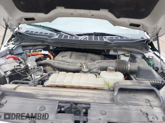 2021 Ford F-150 XL with VIN 1FTFW1ED3MFC37398, listed as a IAAI auction lot 42547006 with 194,971 mi miles and . Bid and sale history available at DreamBid. Image 10.