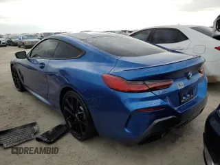2019 BMW 8 Series M850i xDrive with VIN WBABC4C55KBU96089, listed as a Copart auction lot 77600764 with 25,133 mi miles and Non Repairable. Bid and sale history available at carsss.com. Image 2.