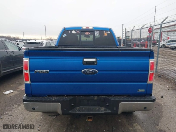 2010 Ford F-150 XL with VIN 1FTFW1EV9AFD53855, listed as a IAAI auction lot 41673966 with 144,118 mi miles. Bid and sale history available at carsss.com. Image 16.
