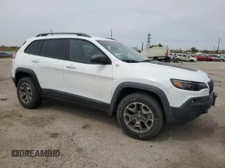 2020 Jeep Cherokee Trailhawk with VIN 1C4PJMBX9LD504136, listed as a Copart auction lot 58975865 with 79,515 mi miles and Salvage title. Bid and sale history available at DreamBid. Image 4.