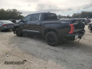 2024 Toyota Tundra 1794 Edition with VIN 5TFMC5DB1RX045003, listed as a Copart auction lot 46123005 with 16,881 mi miles and Salvage title. Bid and sale history available at DreamBid. Image 2.