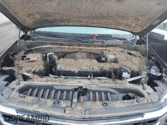 2022 Chevrolet Silverado 1500 LT with VIN 1GCPACED0NZ626885, listed as a Copart auction lot 77955324 with 0 mi miles and Salvage Title. Bid and sale history available at carsss.com. Image 12.
