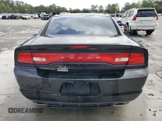 2014 Dodge Charger SE with VIN 2C3CDXBG6EH174215, listed as a Copart auction lot 51108985 with 163,133 mi miles and Salvage Title. Bid and sale history available at carsss.com. Image 6.