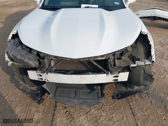 2019 Chevrolet Camaro 1LT with VIN 1G1FB1RS8K0158029, listed as a IAAI auction lot 41039740 with 141,172 mi miles. Bid and sale history available at carsss.com. Image 13.