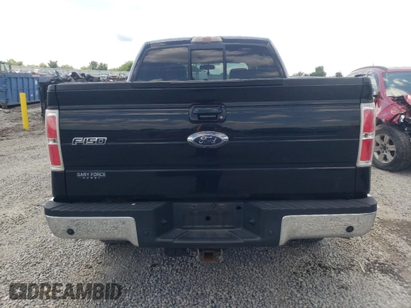 2009 Ford F-150 XL with VIN 1FTPW14V09FB25728, listed as a Copart auction lot 61993255 with 342,183 mi miles and Salvage title. Bid and sale history available at DreamBid. Image 6.