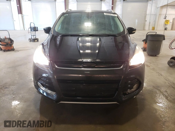 2014 Ford Escape Titanium with VIN 1FMCU9J9XEUE45988, listed as a Copart auction lot 56066175 with 228,872 mi miles and Clean Title. Bid and sale history available at DreamBid. Image 5.