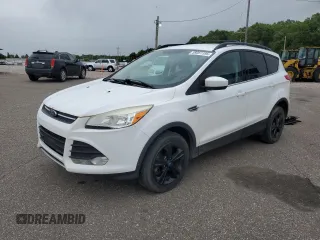 2013 Ford Escape SE with VIN 1FMCU9GX6DUD15646, listed as a Copart auction lot 59351195 with 185,667 mi miles and Salvage title. Bid and sale history available at DreamBid. Image 1.