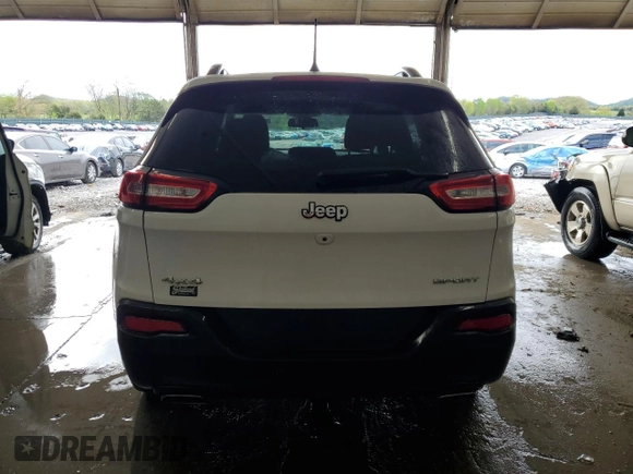 2016 Jeep Cherokee Altitude with VIN 1C4PJMAS0GW290203, listed as a Copart auction lot 52005315 with 194,787 mi miles and Salvage title. Bid and sale history available at DreamBid. Image 6.