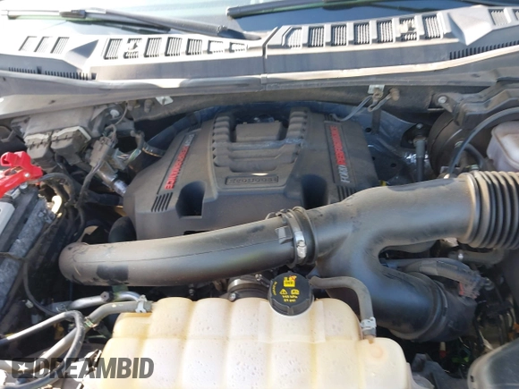 2019 Ford F-150 Raptor with VIN 1FTFW1RG7KFA15755, listed as a IAAI auction lot 40604769 with 34,627 mi miles. Bid and sale history available at carsss.com. Image 10.