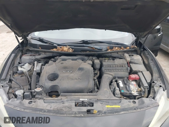 2017 Nissan Maxima SV with VIN 1N4AA6AP8HC379099, listed as a IAAI auction lot 41328091 with 226,511 mi miles and . Bid and sale history available at DreamBid. Image 10.