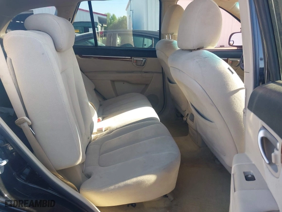 2009 Hyundai Santa Fe SE with VIN 5NMSH13E49H329117, listed as a IAAI auction lot 41995036 with 251,494 mi miles. Bid and sale history available at carsss.com. Image 8.