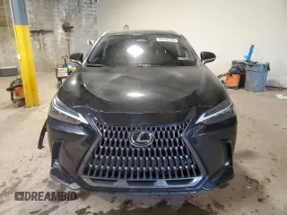2024 Lexus NX 350 Luxury with VIN 2T2HGCEZ7RC034667, listed as a Copart auction lot 59150195 with 16,675 mi miles and Salvage title. Bid and sale history available at DreamBid. Image 5.