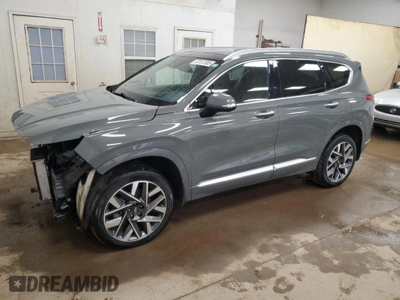 2023 Hyundai Santa Fe Calligraphy with VIN 5NMS5DAL0PH656445, listed as a Copart auction lot 53157305 with 30,373 mi miles and Salvage title. Bid and sale history available at DreamBid. Image 1.