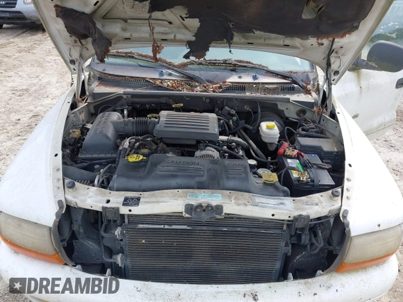 2000 Dodge Durango with VIN 1B4HS28N2YF141487, listed as a IAAI auction lot 42119907 with 244,752 mi miles and . Bid and sale history available at DreamBid. Image 10.