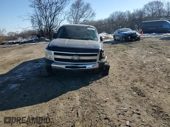 2010 Chevrolet Silverado 1500 LS with VIN 1GCSKREAXAZ186037, listed as a Copart auction lot 87435944 with 274,879 mi miles and Salvage Title. Bid and sale history available at DreamBid. Image 11.