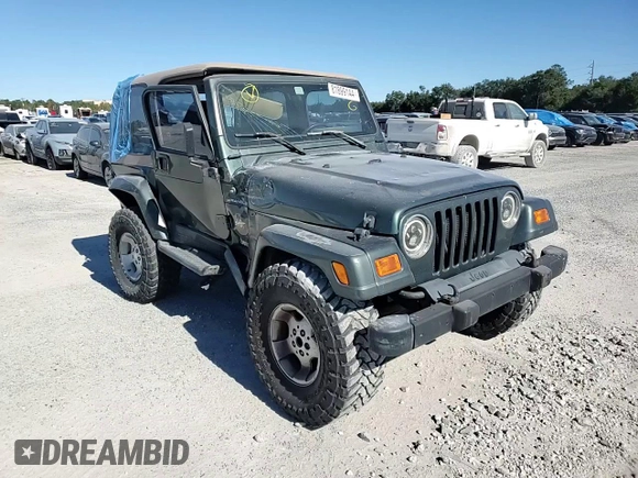 2002 Jeep Wrangler Sahara with VIN 1J4FA59S02P761365, listed as a Copart auction lot 81899144 with 208,429 mi miles and Salvage title. Bid and sale history available at DreamBid. Image 11.