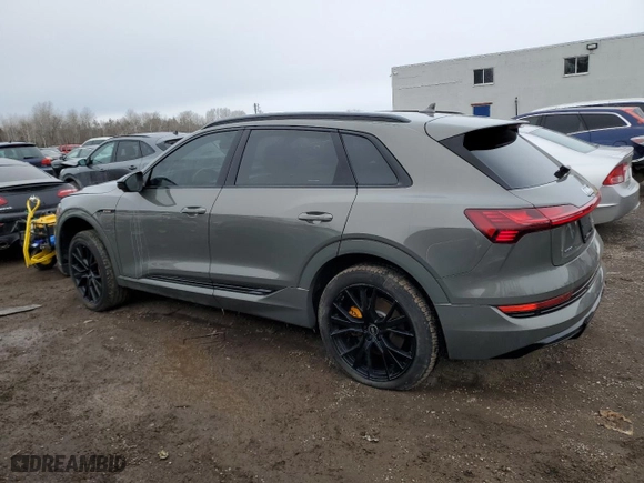 2023 Audi e-tron Premium with VIN WA1AAAGE9PB000421, listed as a Copart auction lot 48717585 with NaN miles and Non Repairable. Bid and sale history available at carsss.com. Image 2.