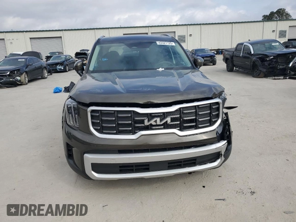 2024 Kia Telluride S with VIN 5XYP64GC0RG557762, listed as a Copart auction lot 43327125 with 2,407 mi miles and Salvage Title. Bid and sale history available at carsss.com. Image 5.