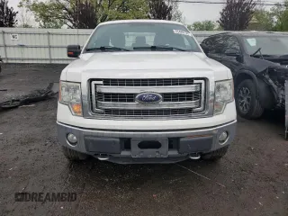 2014 Ford F-150 XL with VIN 1FTEX1EM7EFB23883, listed as a Copart auction lot 55429125 with 74,002 mi miles and Salvage title. Bid and sale history available at DreamBid. Image 5.