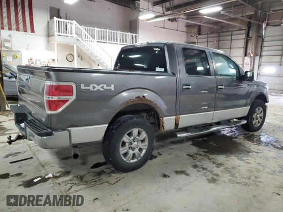 2010 Ford F-150 XL with VIN 1FTFW1EV8AFA98020, listed as a Copart auction lot 46349145 with 197,102 mi miles and Salvage Title. Bid and sale history available at carsss.com. Image 3.