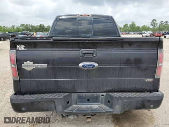 2010 Ford F-150 with VIN 1FTEW1CV2AFA87688, listed as a Copart auction lot 55324715 with 262,569 mi miles and Clean title. Bid and sale history available at DreamBid. Image 6.