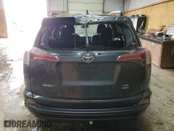 2017 Toyota RAV4 LE with VIN JTMBFREVXHD219410, listed as a Copart auction lot 52990465 with 104,723 mi miles and Clean Title. Bid and sale history available at DreamBid. Image 6.
