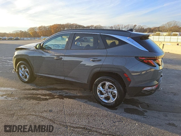 2024 Hyundai Tucson SEL with VIN 5NMJBCDE3RH428390, listed as a Copart auction lot 80221724 with 9,303 mi miles and Clean Title. Bid and sale history available at carsss.com. Image 2.