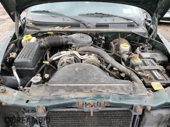 1999 Dodge Dakota SLT with VIN 1B7GG22X4XS309050, listed as a Copart auction lot 82030864 with 141,396 mi miles and Non Repairable. Bid and sale history available at DreamBid. Image 11.