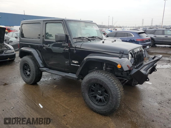 2010 Jeep Wrangler Sahara with VIN 1J4AA5D19AL110394, listed as a Copart auction lot 43793365 with 116,190 mi miles and Clean title. Bid and sale history available at DreamBid. Image 4.