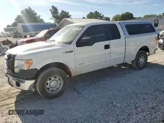 2013 Ford F-150 XL z VIN 1FTFX1CTXDKE88739, wystawiony jako Copart lot #66015285 z przebiegiem 209 395 mil mil oraz Czysty tytuł • Clean title. Historia ofert i sprzedaży dostępna na DreamBid. Obrazek 1.