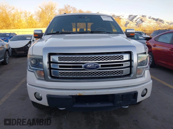 2014 Ford F-150 XL with VIN 1FTFW1ET7EFA61769, listed as a IAAI auction lot 41669656 with 119,198 mi miles and . Bid and sale history available at DreamBid. Image 12.