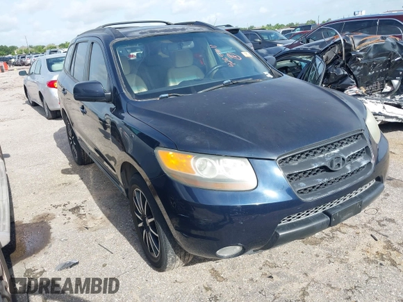 2007 Hyundai Santa Fe SE with VIN 5NMSH13E17H036255, listed as a IAAI auction lot 42694011 with 139,828 mi miles and . Bid and sale history available at DreamBid. Image 1.