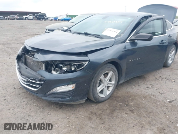2019 Chevrolet Malibu LS with VIN 1G1ZB5ST3KF187099, listed as a IAAI auction lot 41950934 with 67,123 mi miles and . Bid and sale history available at DreamBid. Image 19.