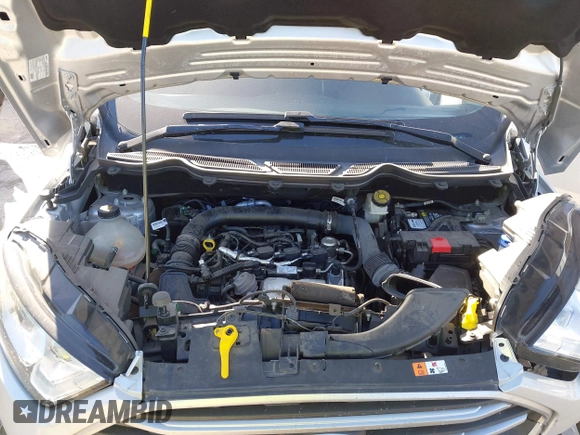 2019 Ford EcoSport SE with VIN MAJ3S2GE3KC269072, listed as a IAAI auction lot 41836009 with 18,484 mi miles and . Bid and sale history available at DreamBid. Image 10.