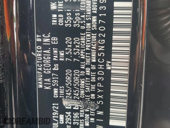 2022 Kia Telluride EX with VIN 5XYP3DHC5NG207139, listed as a Copart auction lot 60104755 with 101,632 mi miles and Salvage title. Bid and sale history available at DreamBid. Image 14.