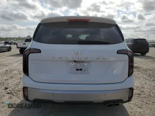 2024 Kia Telluride SX with VIN 5XYP54GC7RG427657, listed as a Copart auction lot 53308975 with Not provided miles and Salvage title. Bid and sale history available at DreamBid. Image 6.
