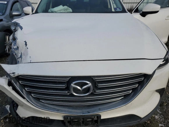 2017 Mazda CX-9 Touring with VIN JM3TCBCY7H0142530, listed as a Copart auction lot 43728415 with 0 mi miles and Salvage Title. Bid and sale history available at carsss.com. Image 12.
