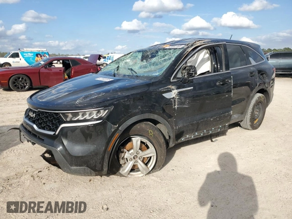 2023 Kia Sorento LX with VIN 5XYRGDLC7PG166830, listed as a Copart auction lot 43582395 with 55,717 mi miles and Salvage Title. Bid and sale history available at carsss.com. Image 1.