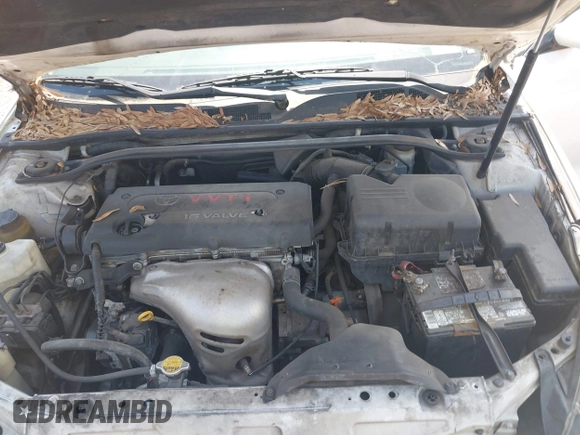 2006 Toyota Solara SE with VIN 4T1CE38P16U688525, listed as a IAAI auction lot 42059067 with 301,238 mi miles and . Bid and sale history available at DreamBid. Image 10.