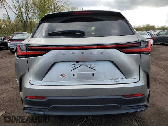 2022 Lexus NX with VIN JTJGKCEZ2N2004500, listed as a Copart auction lot 53136664 with 28,909 mi miles. Bid and sale history available at carsss.com. Image 6.