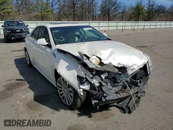 2010 Cadillac CTS Premium with VIN 1G6DS5EV2A0137314, listed as a Copart auction lot 53671965 with Not provided miles and Salvage title. Bid and sale history available at DreamBid. Image 14.