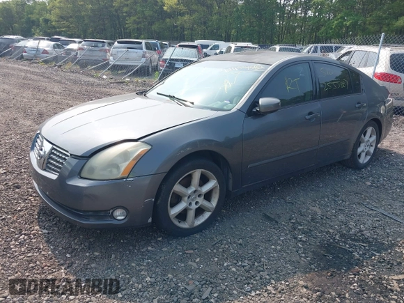 2005 Nissan Maxima SL с VIN 1N4BA41E15C812569, выставлен на аукционе IAAI как лот 42454582 с пробегом Не указан миль и . История ставок и продаж доступна на DreamBid. Изображение 2.