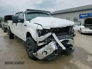 2012 Ford F-150 XL with VIN 1FTFW1ET3CFA97536, listed as a Copart auction lot 60842665 with 136,127 mi miles and Salvage title. Bid and sale history available at DreamBid. Image 14.