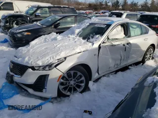 2020 Cadillac CT5 Premium Luxury with VIN 1G6DT5RK1L0134971, listed as a Copart auction lot 44144175 with 0 mi miles and Salvage Title. Bid and sale history available at carsss.com. Image 1.